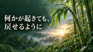 雨上がりの竹林で、しなった竹に光が差す。何かが起きても、戻せるように。